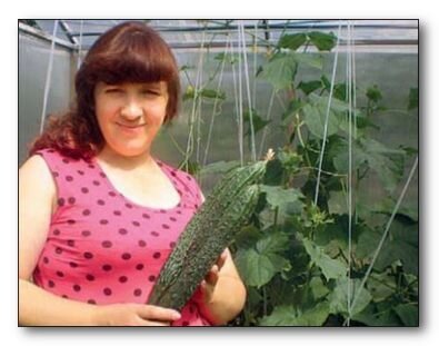 Ранние и хрустящие