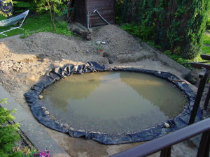 Как только вы определились с тем, как будет выглядеть пруд, смело приступайте к выбору места, где он расположится. Не стоит относиться к этой задаче спустя рукава. Водоем не должен выбиваться из общего вида, важно, чтобы он гармонично вписывался в ландшафт, стал его изюминкой. Перед тем как выбирать место, обратите внимание на несколько важных факторов: