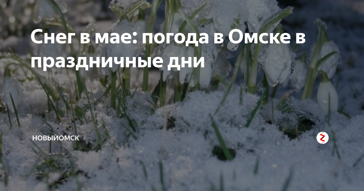 Выпал снег воскресенье. Снег в мае Омск. Снег неожиданно выпал картинки. Омск выходные в мае.