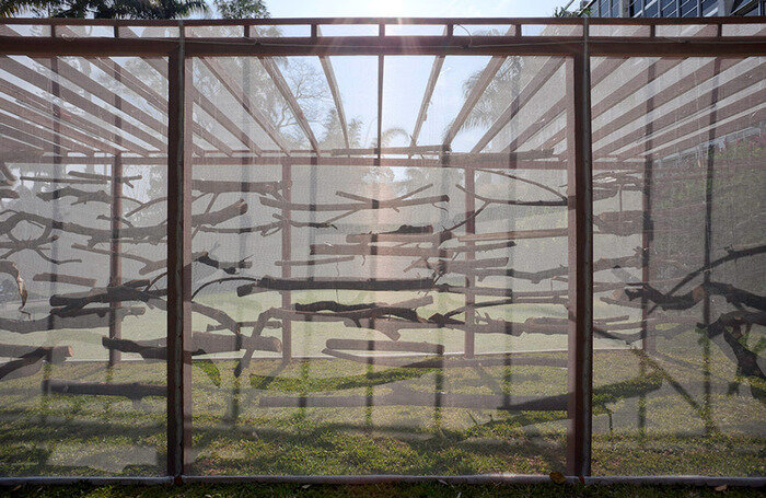 "Мертвый Сад", Бразилия