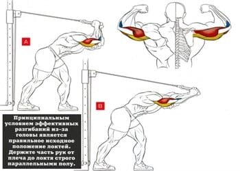 Становимся к блоку спину, в руки берем канатную рукоять, прикрепленную к верхнему блоку.