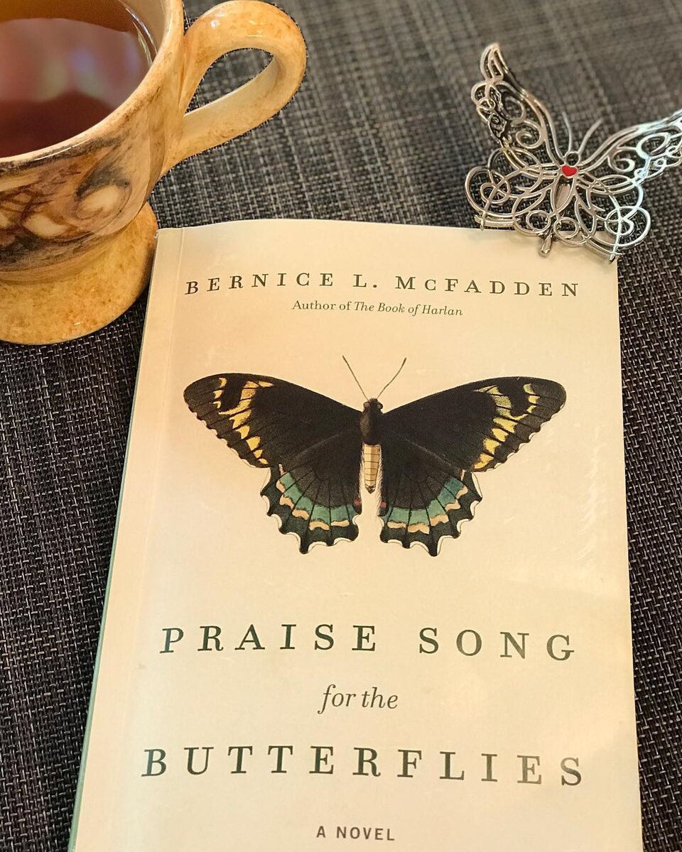 Абоэ Ката в свои девять лет живет привилегированной жизнью в вымышленной западноафриканской стране Укамби. отец Абоэ работает в казначействе правительства. Ее мать заботится о ней и ее младшем брате, а ее тетя Серафина посещает Америку.
 Но происходит так, что её отец теряет свою работу и соглашается требованием матери, чтобы он отвез Абоэ в деревенский храм, для того чтобы она провела свою жизнь в качестве трокоси, отгоняя грехи своих предков через рабский труд и сексуальное рабство. Абоэ и другие девушки в храме терпят невыразимую жестокость и лишены свободы. Но секрет, связанный с ее рождением, открывает дверь к свободе только через пятнадцать лет. 
Макфадден создает сострадательную, незабываемую историю потери и искупления. 