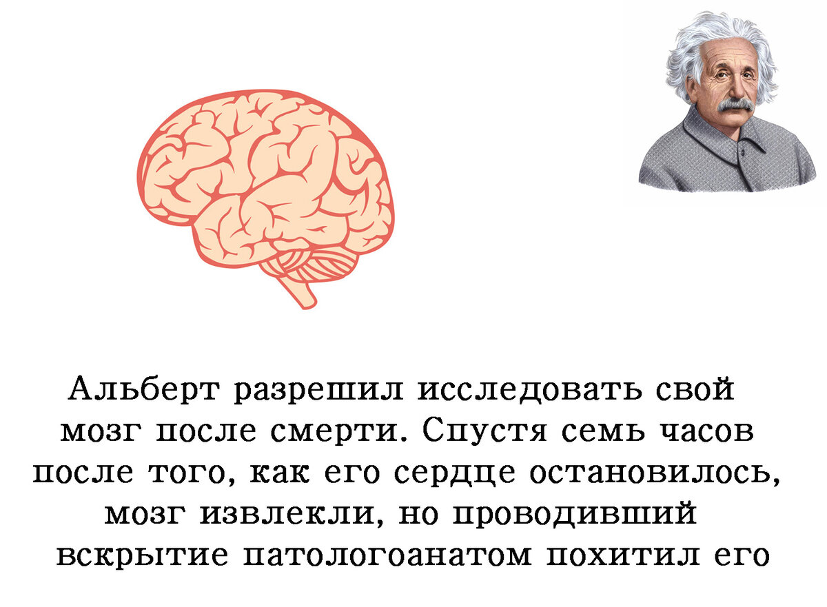 Недуг эйнштейна 7 букв сканворд. Интересные факты о Альберте Эйнштейне. Эйнштейн интересные факты из жизни.