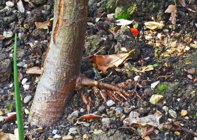 Фоторафия из Сети