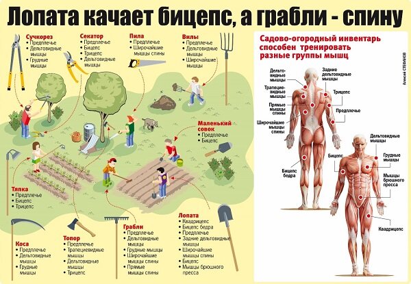 Садово-огородный инвентарь заменит спортивные снаряды