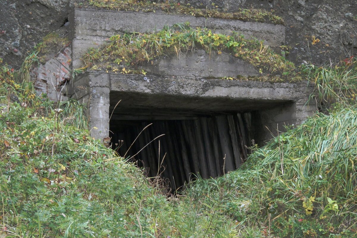 Жаль, что все это было брошено и не доведено до конца