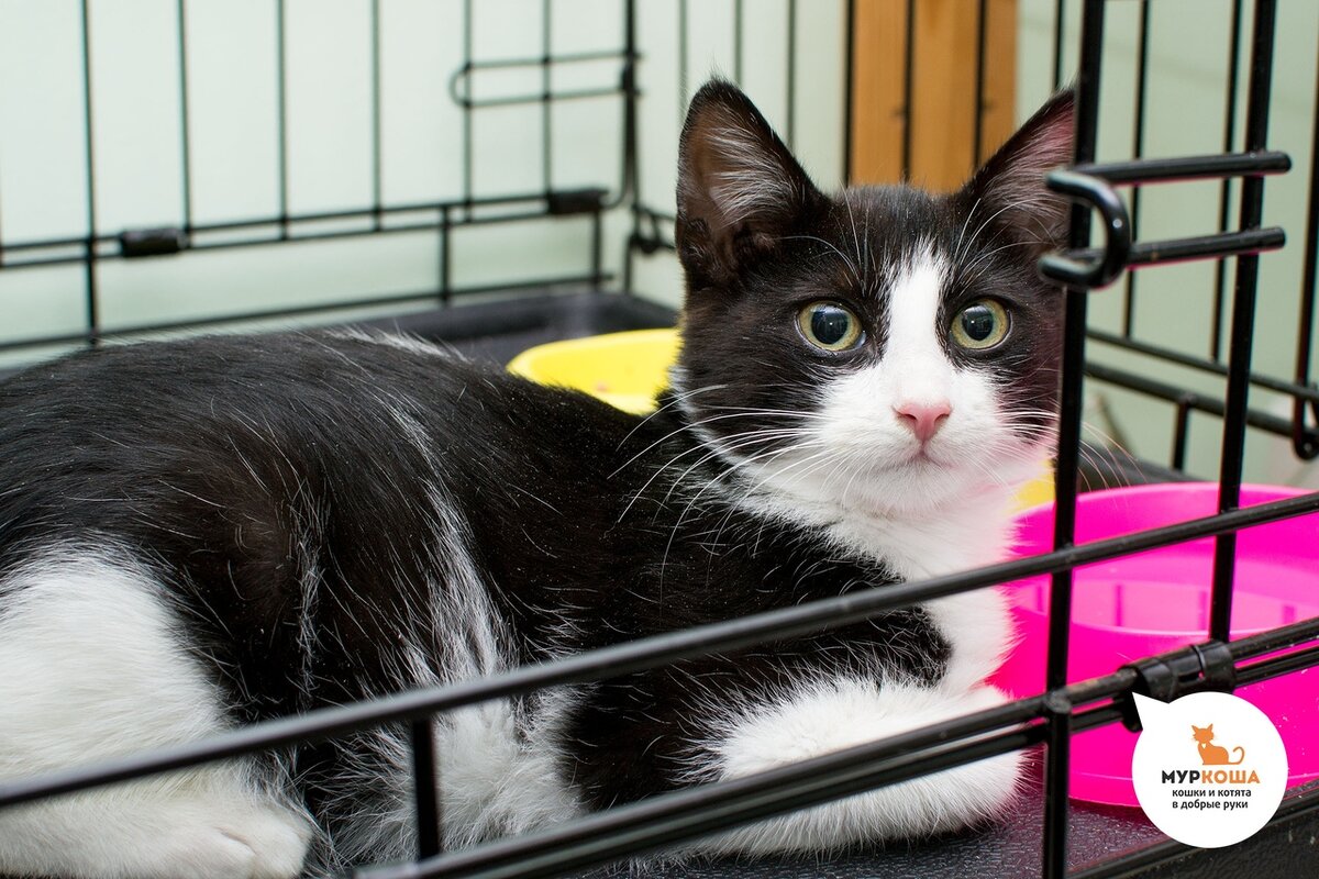 Деревенский парень Салатик желает познакомиться