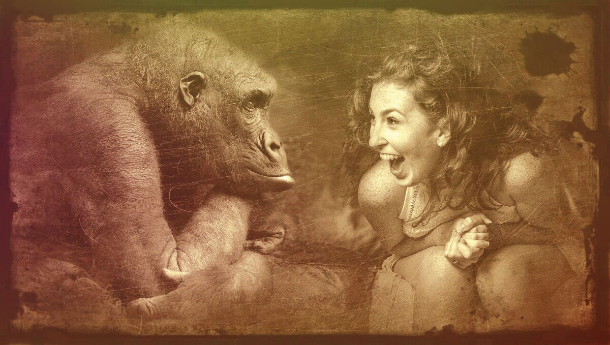 To go ape