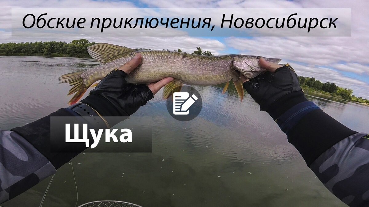 Сезон 2018 в России для меня открылся сразу с одного из самых  рыболовных регионов – Новосибирска. Река Обь богата хищником и рыбалка  обещала быть знатной.
