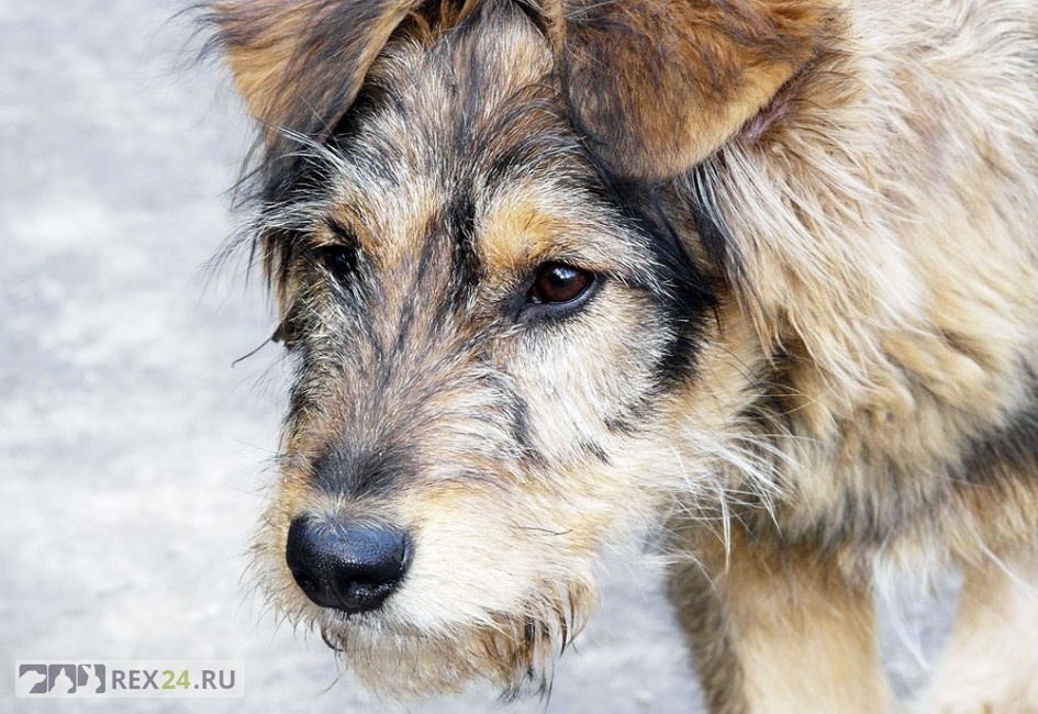 Фото: yandex.ru