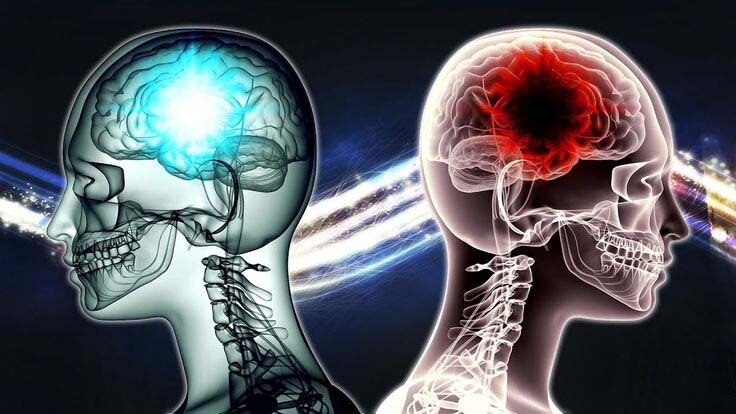 нейроны человеческого мозга