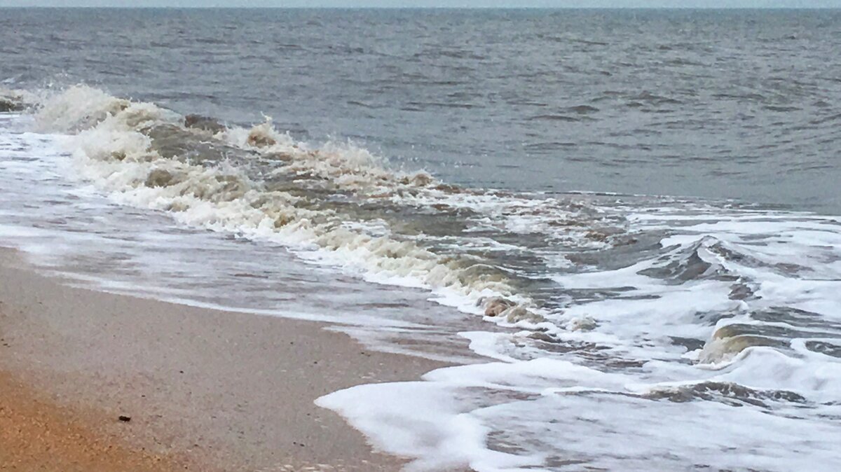 Морская пена серого цвета в перемешку с мелкой ракушкой.
