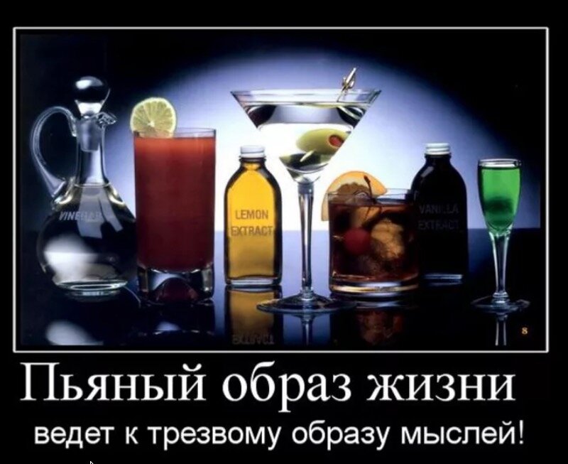 демотиватор про спиртное. Актуально по пятницам!
