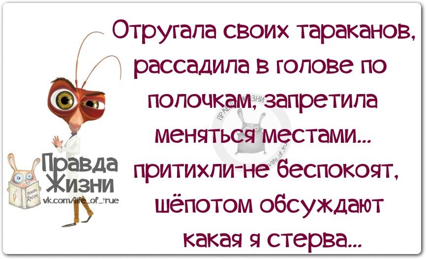 К чему снятся тараканы – именно это интересует значительное количество людей, проснувшихся утром. Так что, если Вы увидели во сне таракана, будьте уверены, что не одиноки.