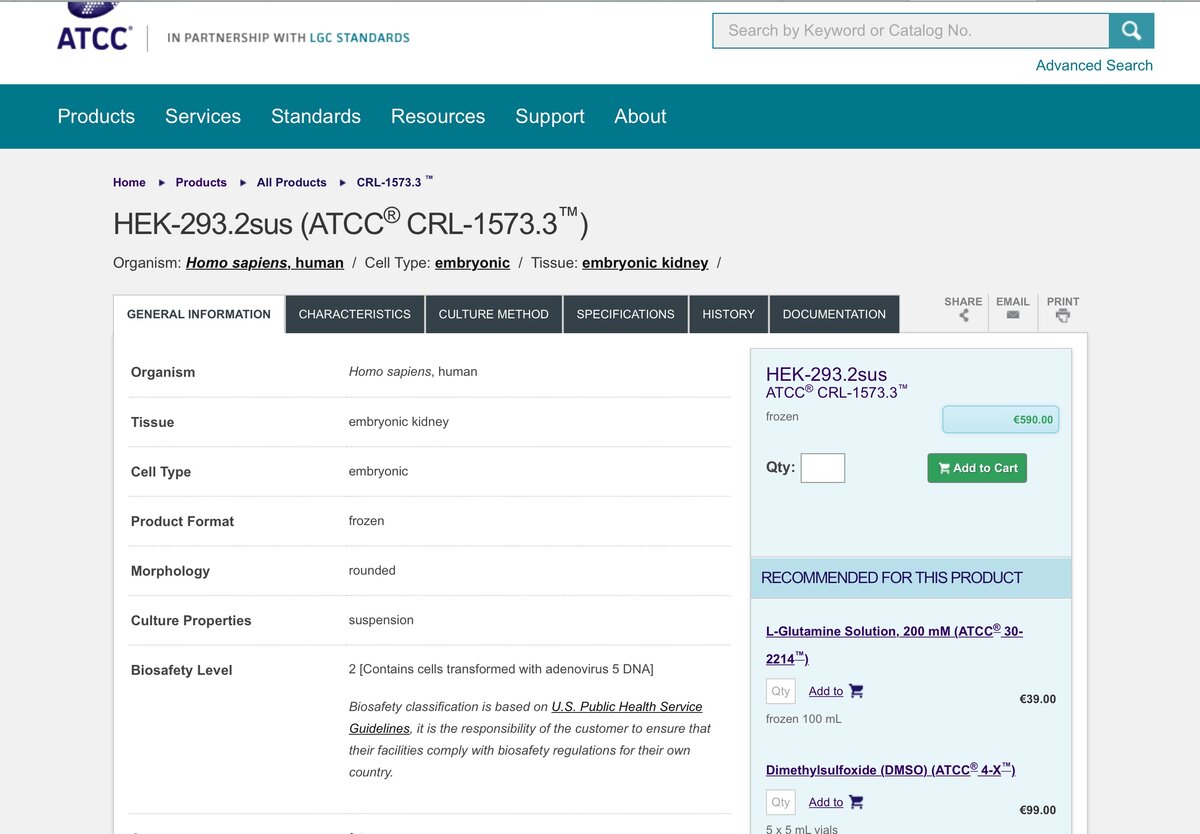 Keyword catalog. Каталог в ворде. Keyword catalog. Нек 293. Ворд 2004.