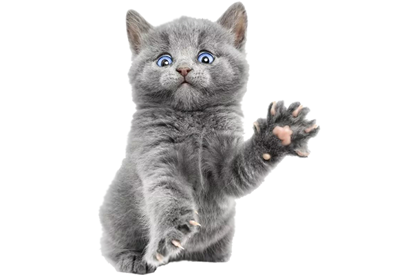 Не надо мне помогать! Я са-ам!