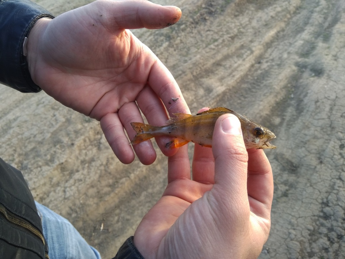 Фото автора канала