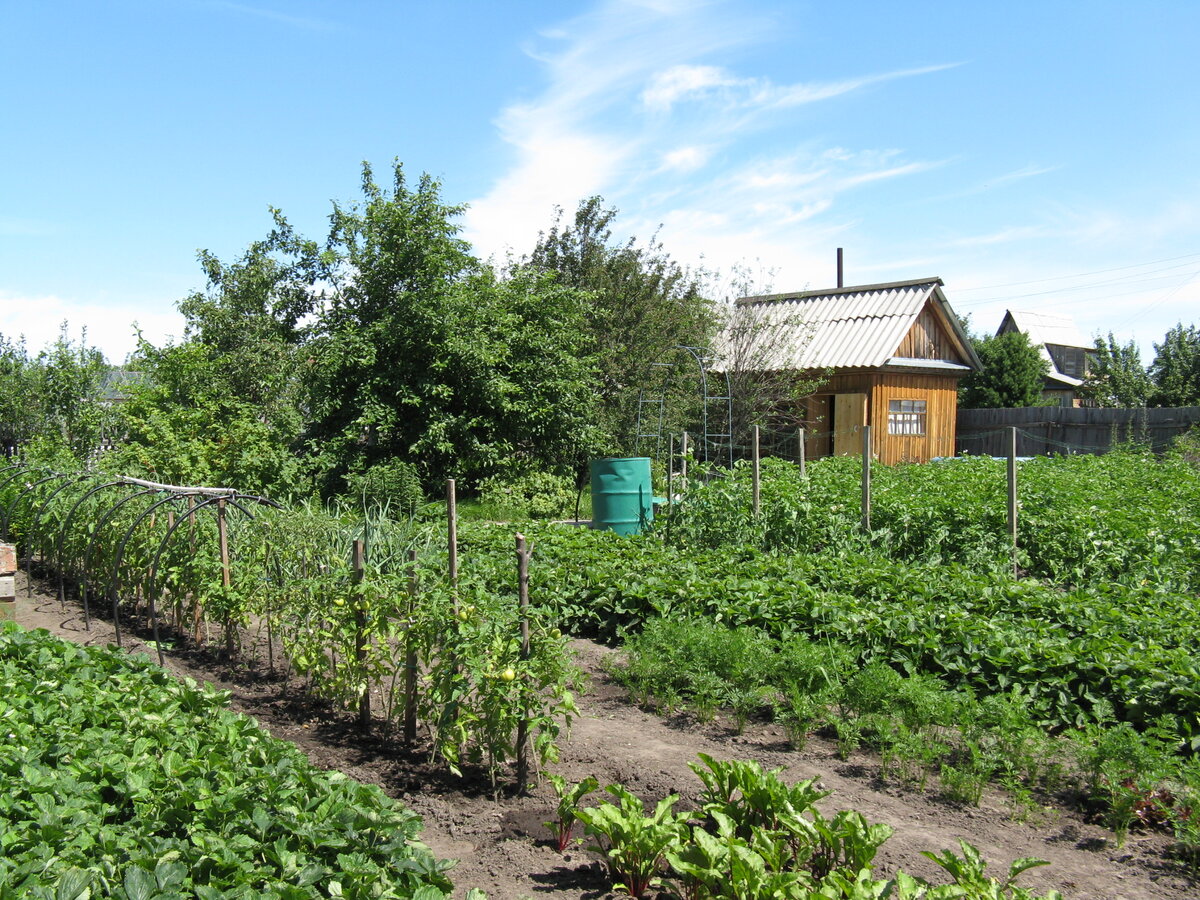 продажа дач березники тюмень цена фото