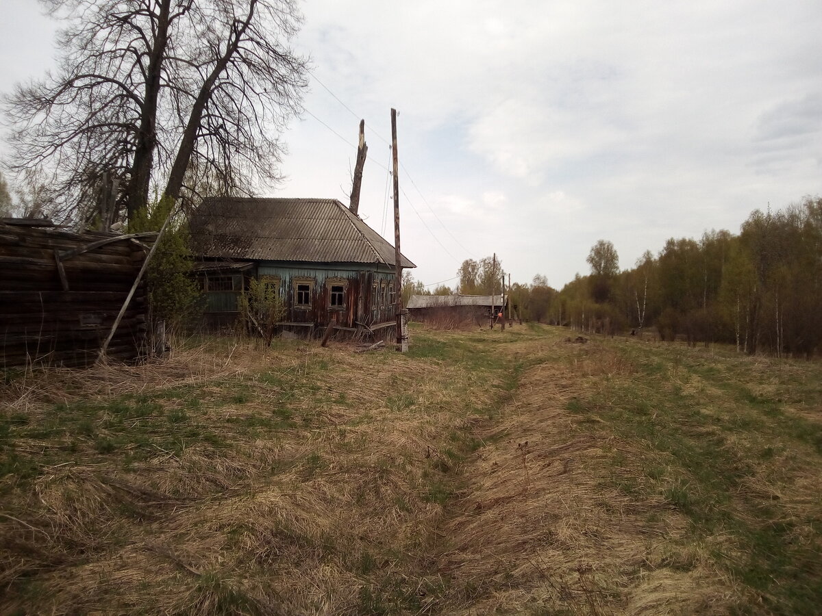 Зловещая заброшенная деревня🔮💀👻  Есть дома – заходи и живи 🏡 | Уйду в  лес | Дзен