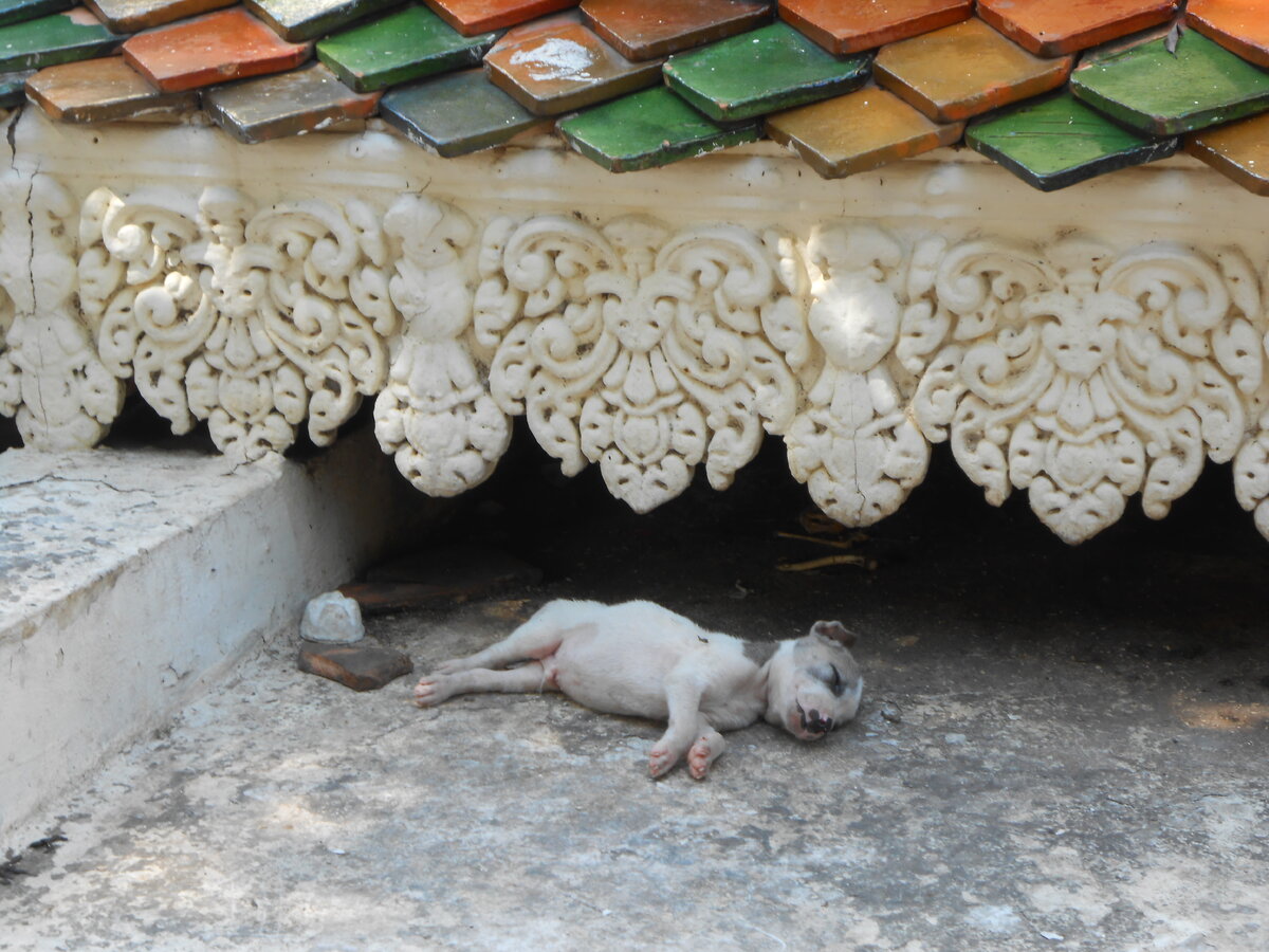 буддийский монастырь Ват Пном по которому была названа столица Камбоджи 