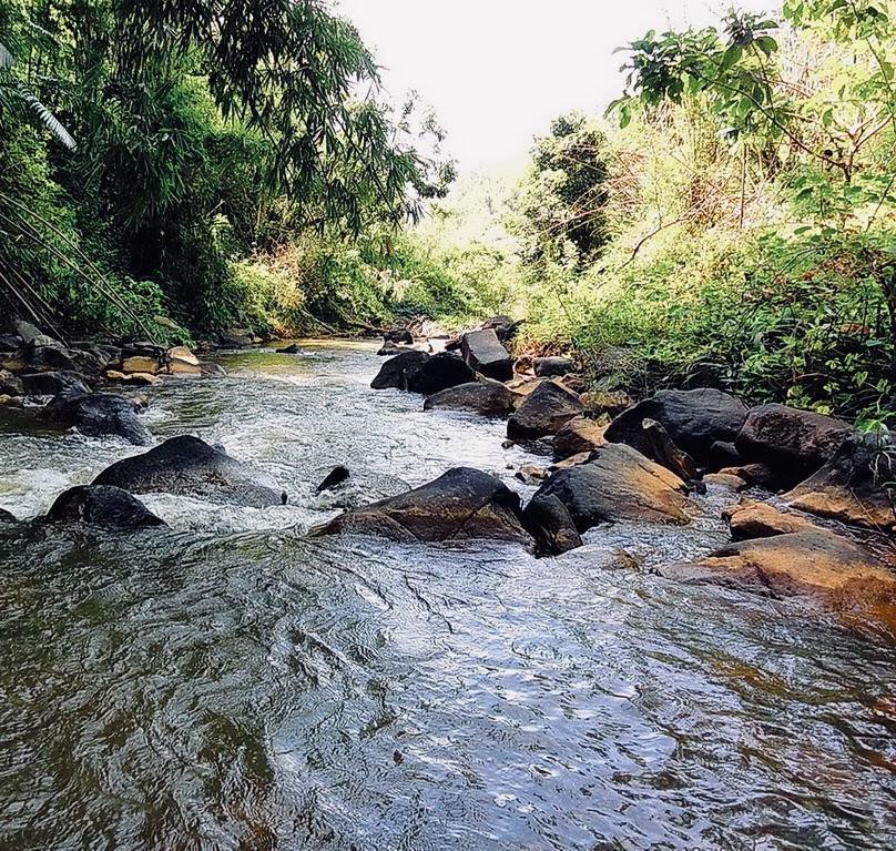 Фото из Интернета.