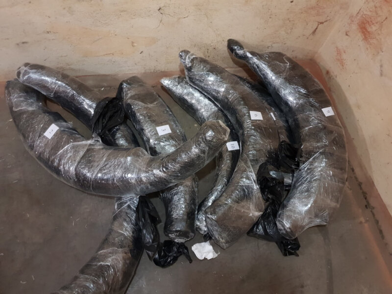 Фото, видео: 67.мвд.рф