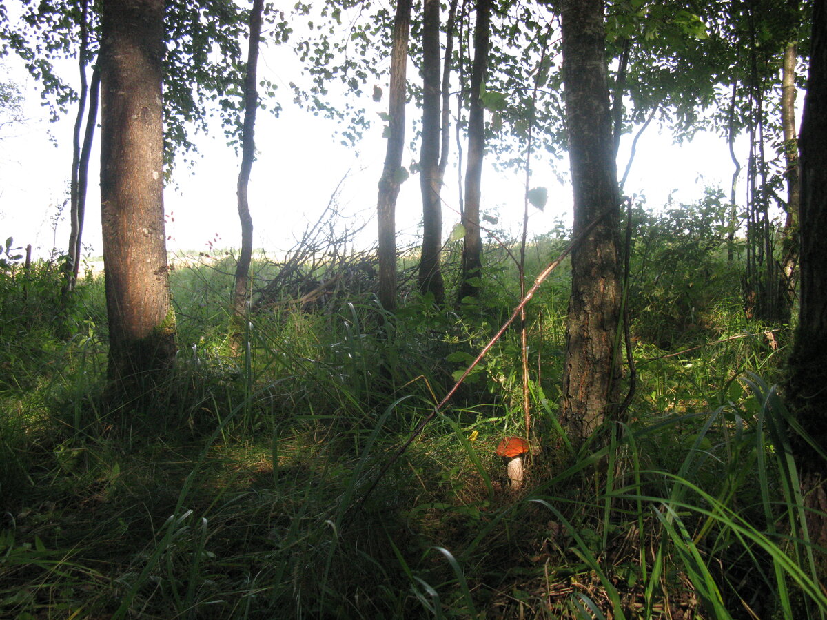 фото автора..