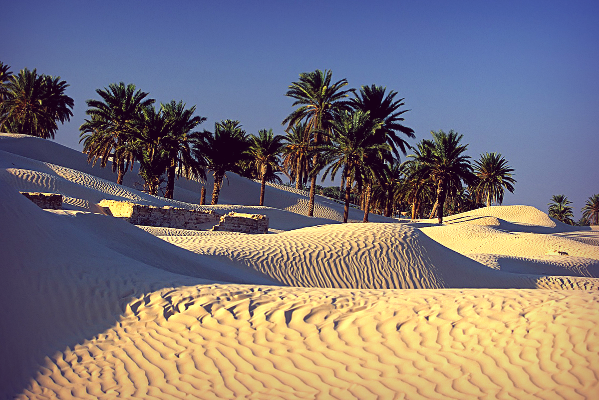 Тунис. Фото взято из открытых источников.