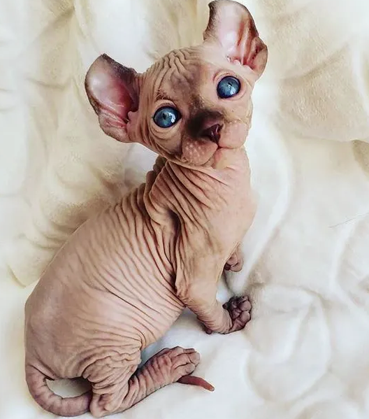 Источник фото: instagram.com