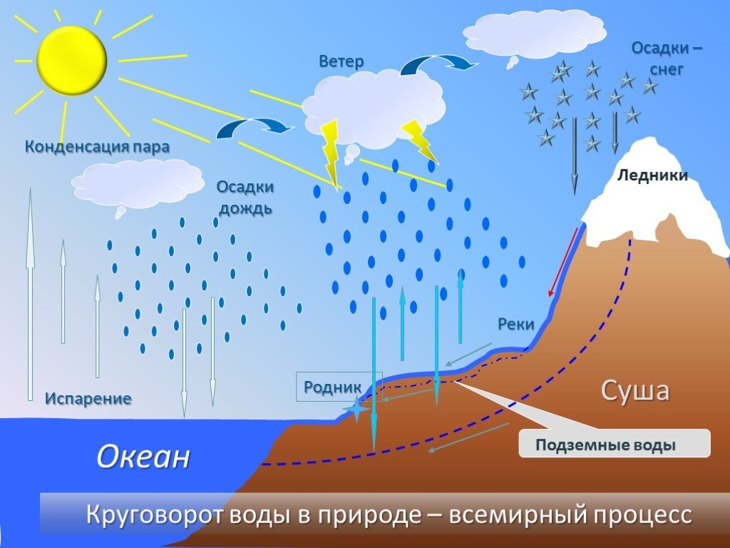 Этапы мирового круговорота воды с изображением на схеме