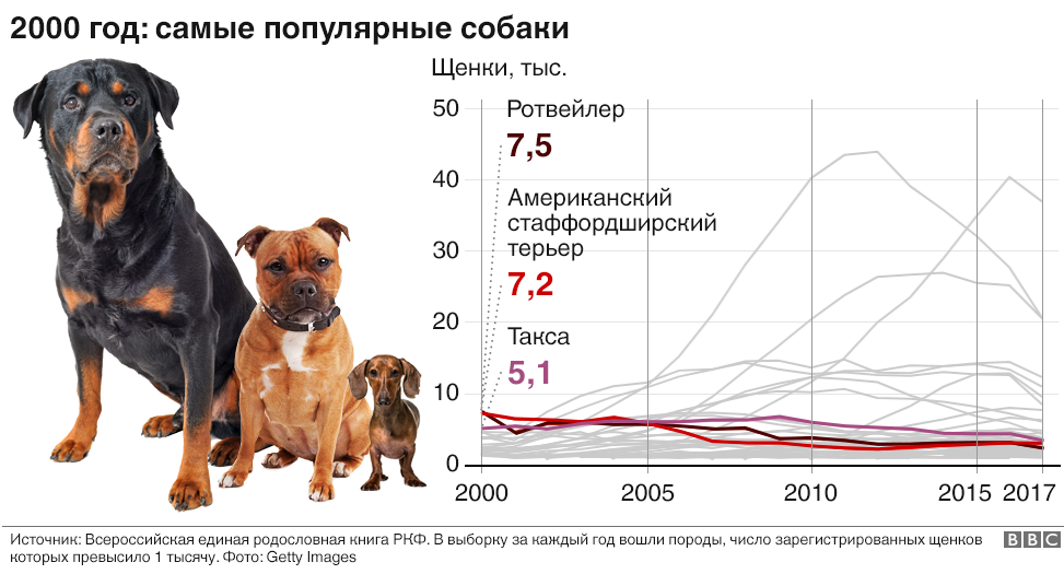 Оренбургское региональное телевидение