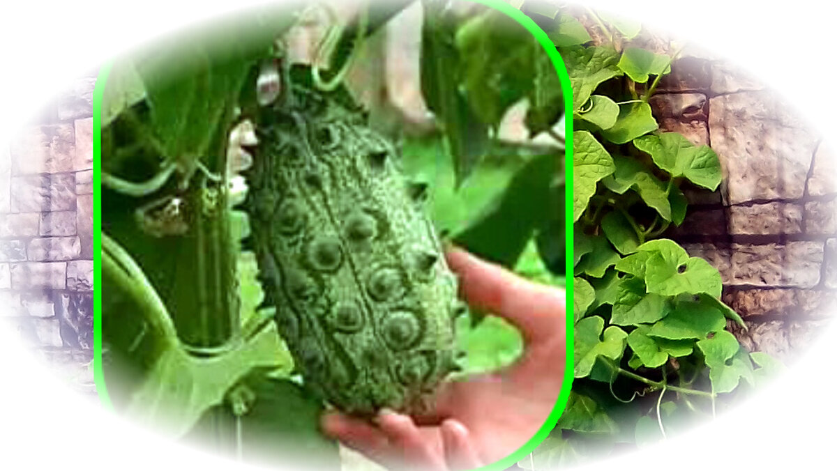 Мир увлечений