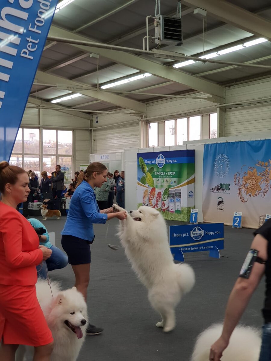 И снова мы с Марком, но в тот день он решил, что танцевать ему интересней, чем работать, как положено :)