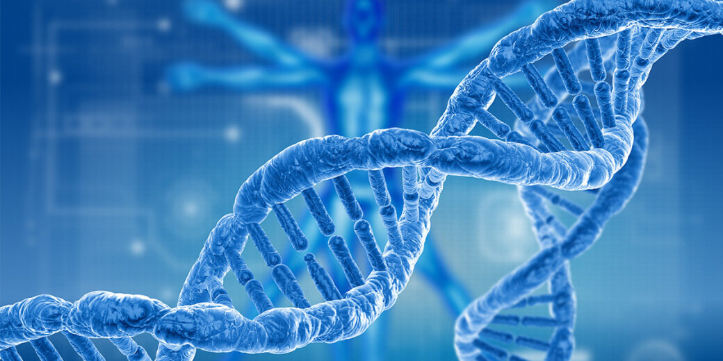 Генетика -  нау­ка о на­след­ст­вен­но­сти и из­мен­чи­во­сти – уни­вер­саль­ных свой­ст­вах жи­вых ор­га­низ­мов.