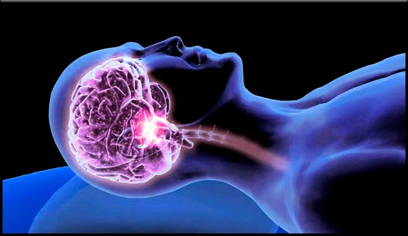 Спит, а мозг работает