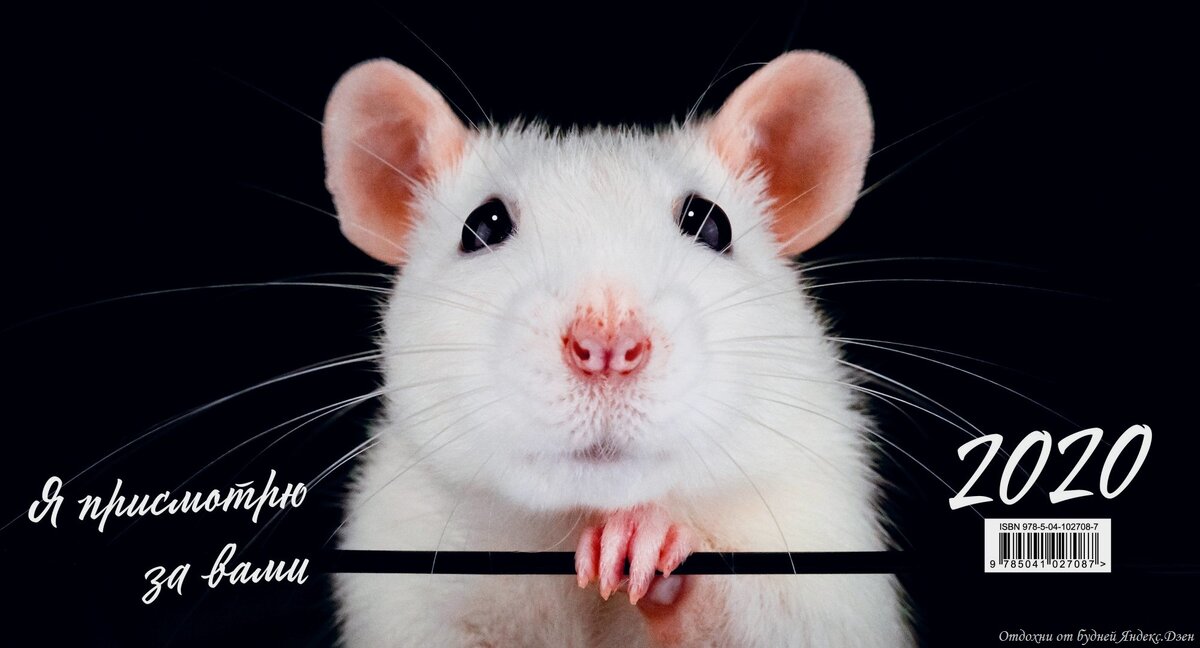 3 знака зодиака, которых ждет финансовый успех в 2020 году 