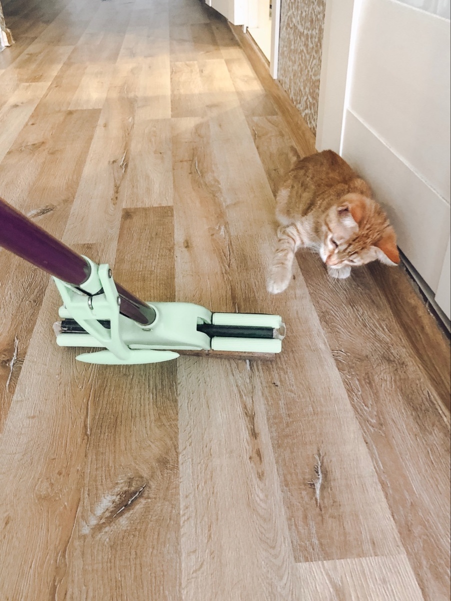 Это я воспитываю мочалку, чтобы хорошо мыла