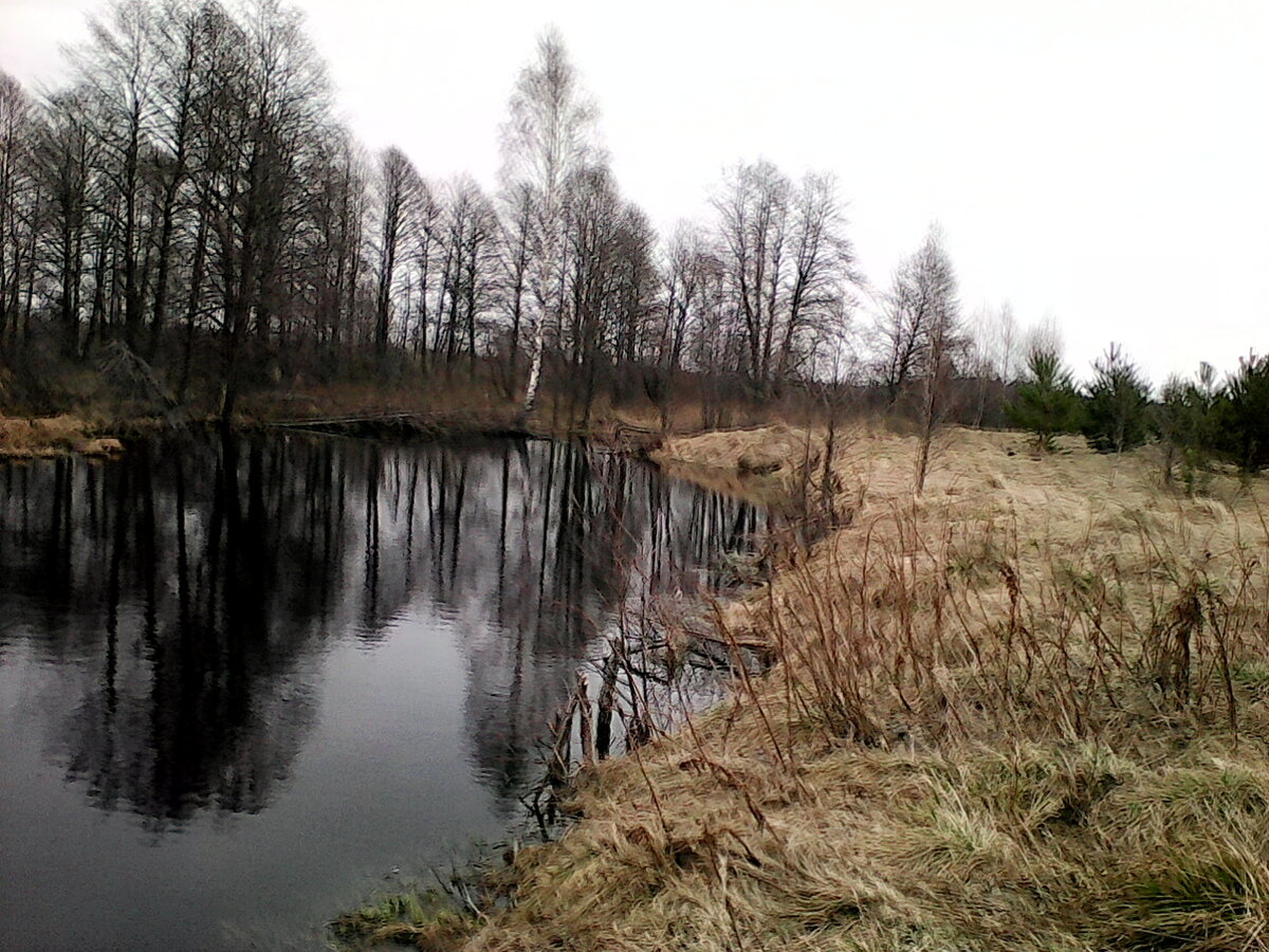 Пруд на Кестромке