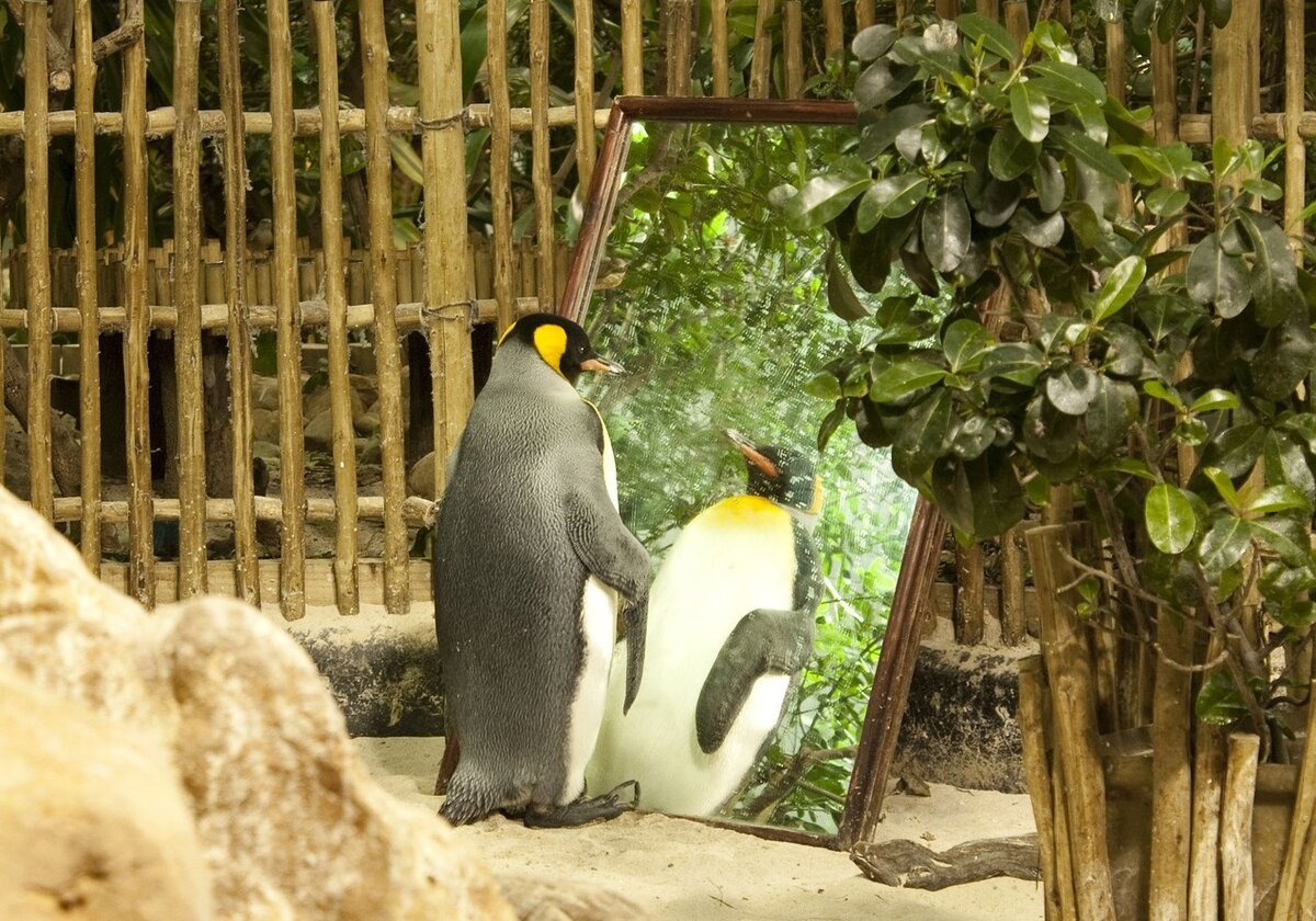 "It's so difficult to talk to conceited people. They never listen to what you're saying".