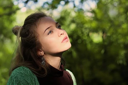 Источник фото - pixabay.com/ru/