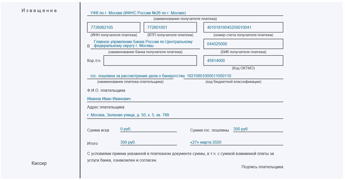 Платежка оплата госпошлины