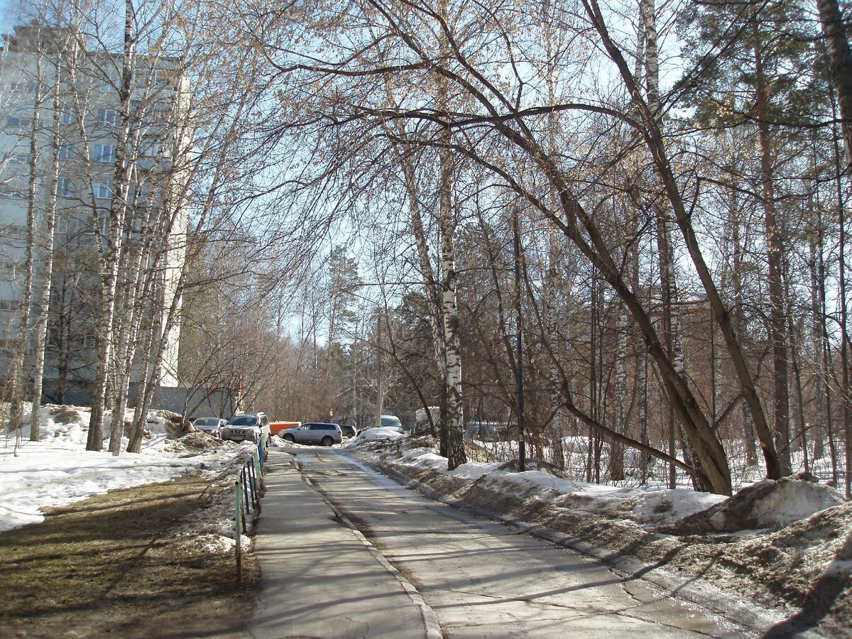 Дворы Академгородка в полдень