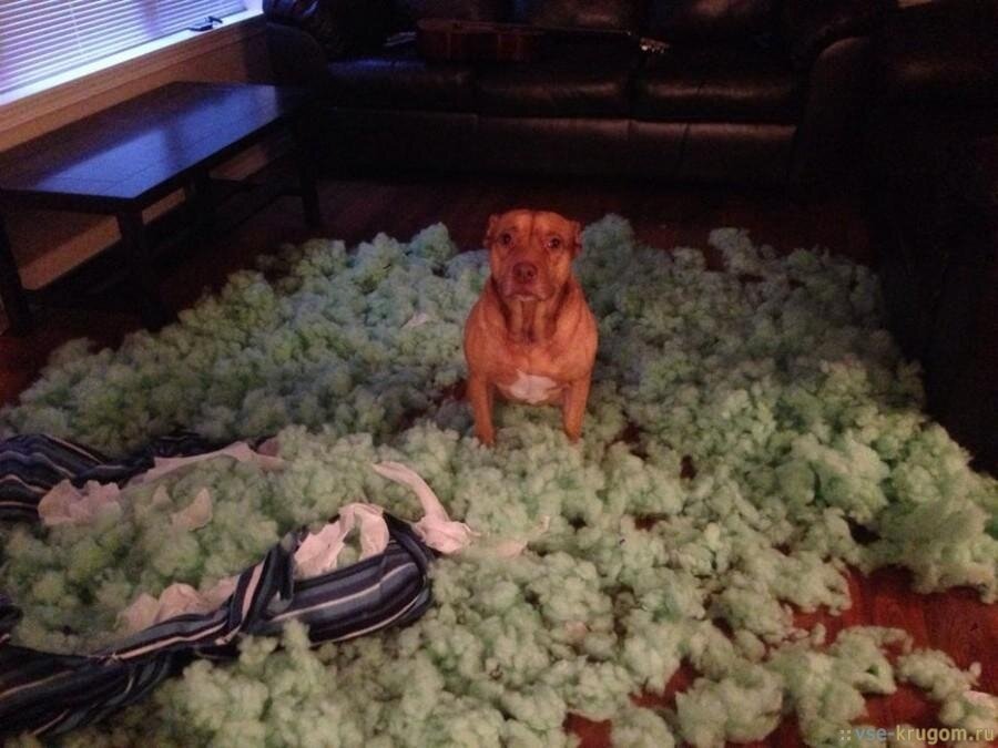 Фото с просторов интернета