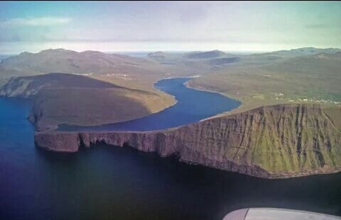 Яндекс.картинки