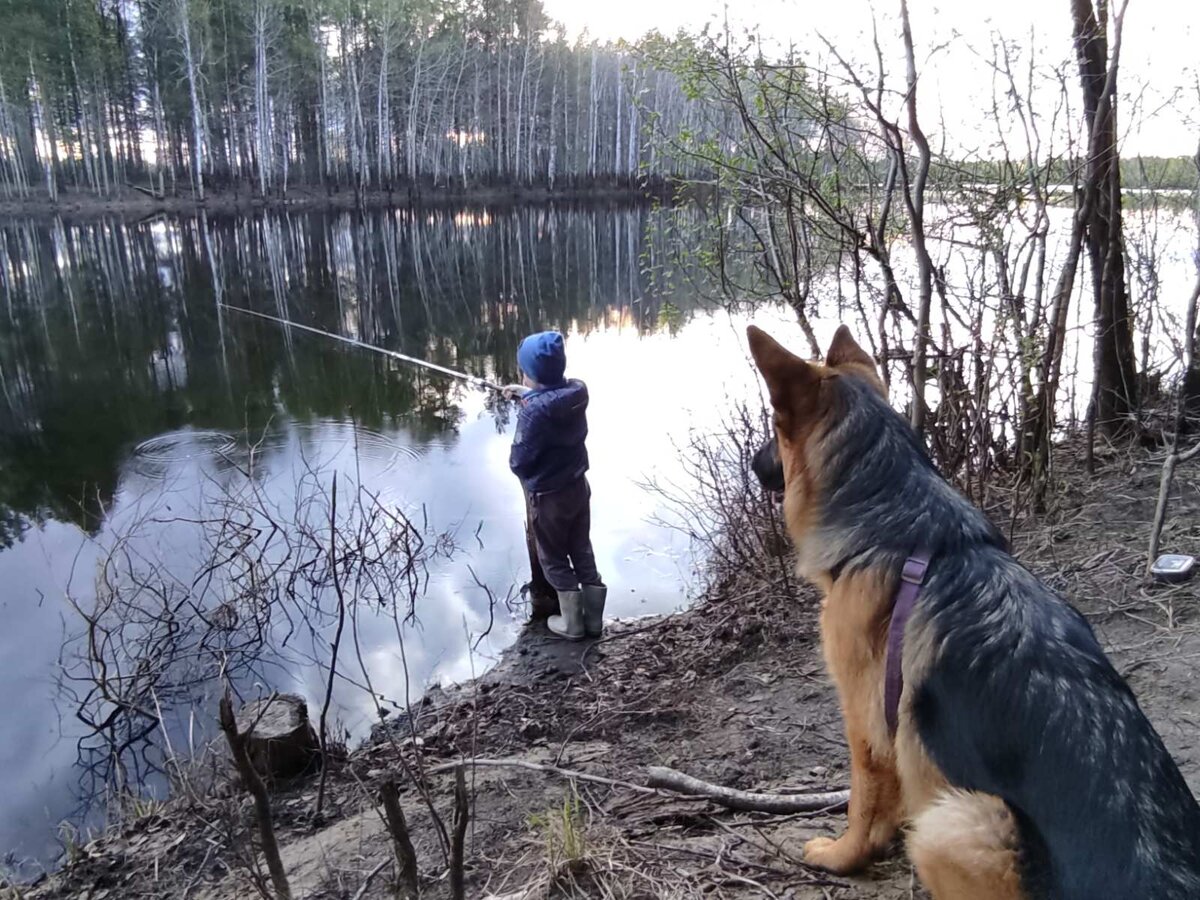 Это мы в субботу на рыбалку ходили. 