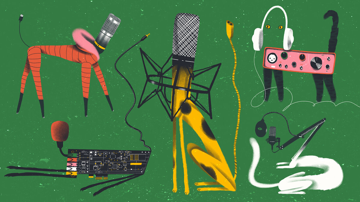 Иллюстрация Маши Шишовой