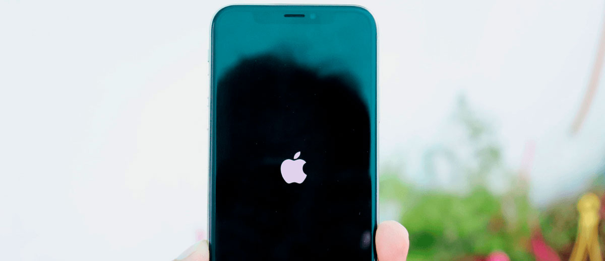 Айфон 13 не включается что делать. Айфон повис на яблоке. Айфон завис на яблоке. Iphone висит на яблоке. Айфон 7 плюс висит на яблоке.