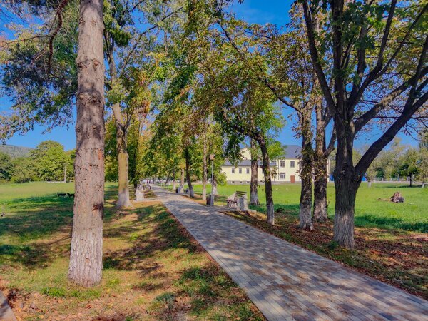 Местный парк. На заднем плане - Дом Культуры