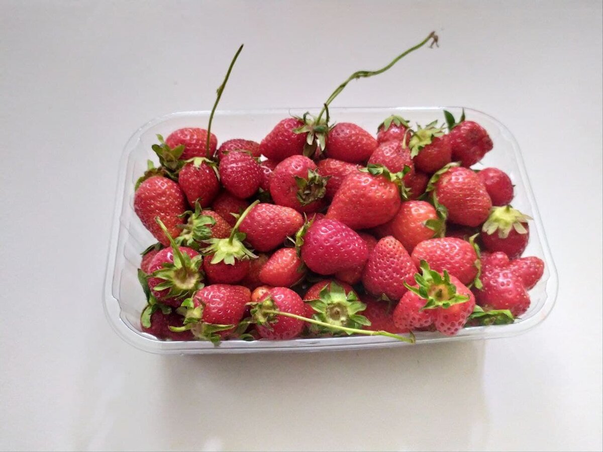 Мыть ягоды стоит только в том случае, если собираетесь их есть прямо сейчас!