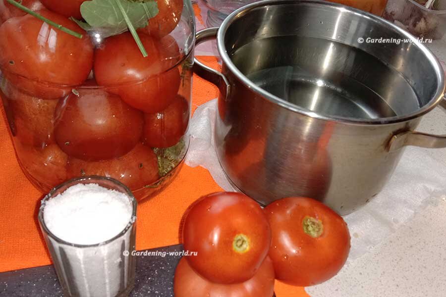 Избранные рецепты заготовки томатов на зиму